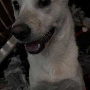 도와주세요 찾아주세요ㅠ