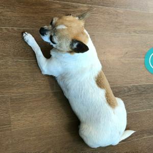 치아와 찾아요 ㅠ