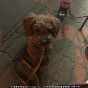 오래를 찾습니다.