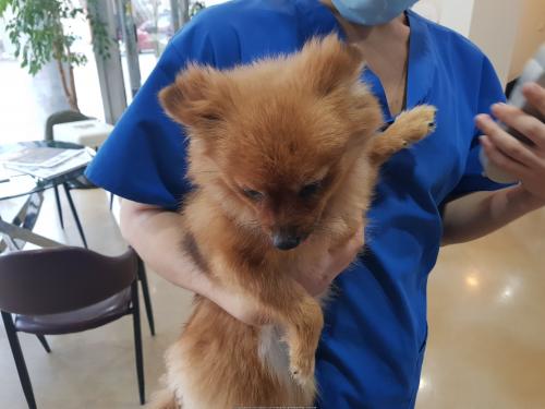 포메믹스 임시보호중입니다