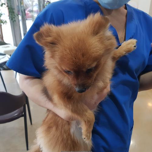 포메믹스 임시보호중입니다