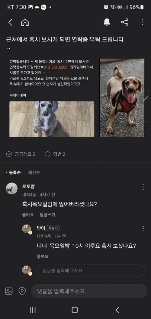 5살된 남아 믹스견 찾아요