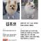 14살 노견 찾아주세요