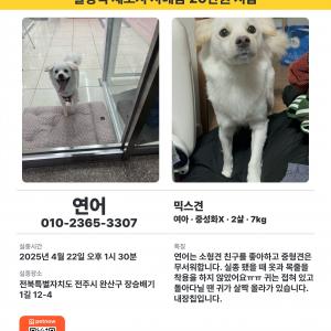 25년 4월 22일 연어를 잃어버렸습니다.