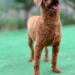 용인 모현 모산마을