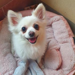 스피치 포메믹스입니다. 연락 부탁