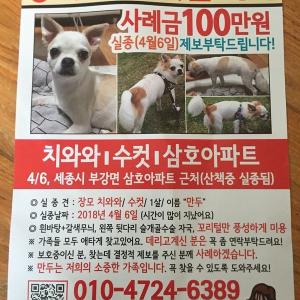 우리 가족 만두를 찾습니다.