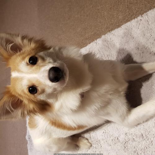 우주의 가족을 찾습니다