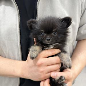 [ 15만원 ] 정직한곳