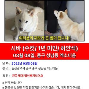 ⭐️부탁드리겠습니㉰⭐️