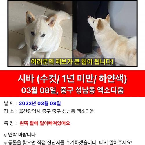 ⭐️부탁드리겠습니㉰⭐️