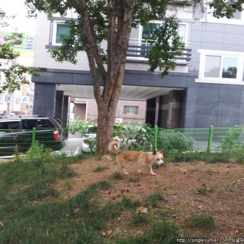 초롱이를 찾아주세요