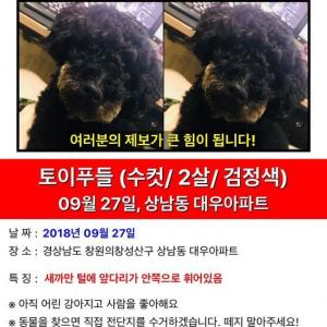 강아지를 찾습니다.