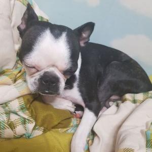 둔산동 용문동 탄방동