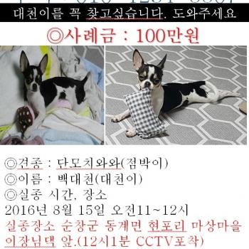 대천이찾아요.