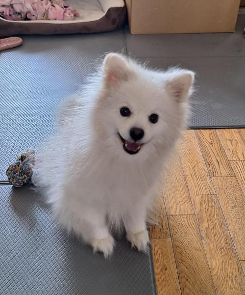 새가족을 원해요~