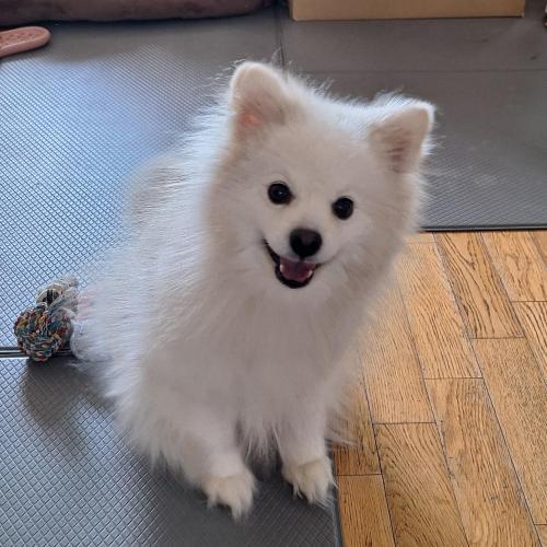 새가족을 원해요~