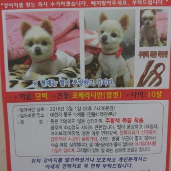 우리단비를찾습니다
