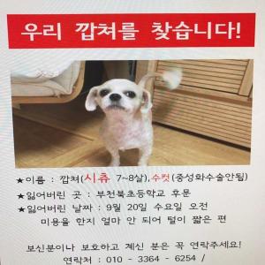 깝쳐를찾아요