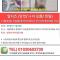 [11/4일 발견][서울-전농동] 말티즈/4-5살(추정)/발견 당시 노란크림색-빨간땡땡이 옷 입고 있었음
