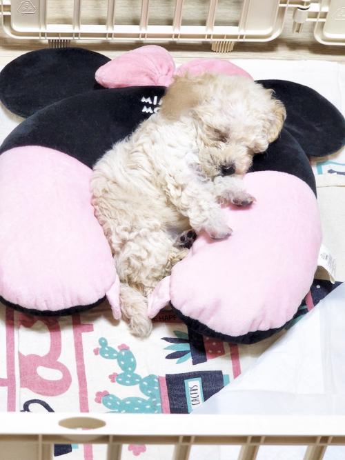 제발 상의 다 된 분만 연락 주세요