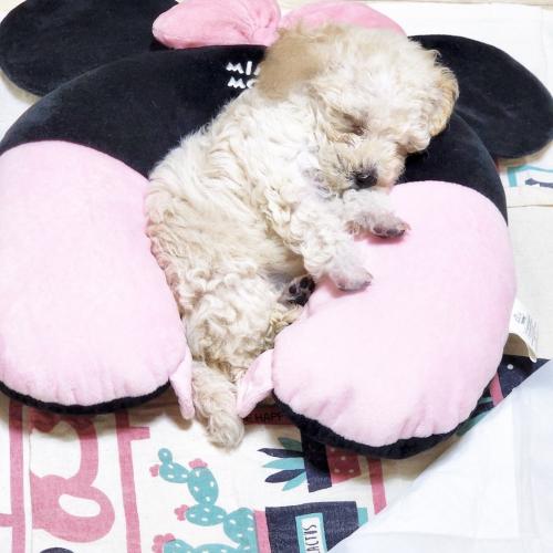 제발 상의 다 된 분만 연락 주세요