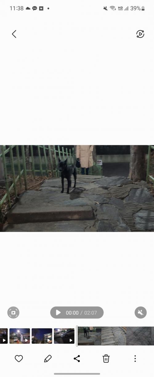 양천구 7-8키로 추정 검은개