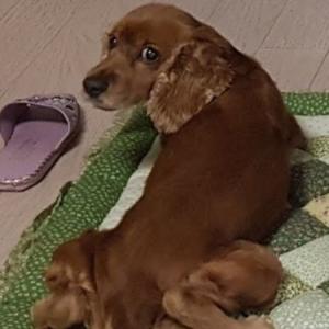 최고로사례합니다 연락주세요