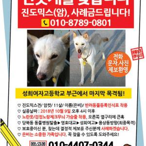 안동입니다. 찾을수있게 도와주세요 ㅠ