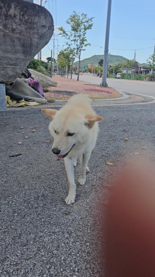 전라북도 남원시