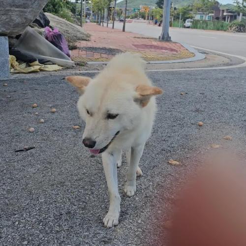 전라북도 남원시