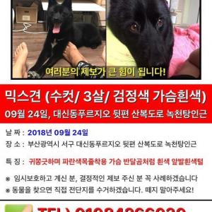 가족을 찾습니다