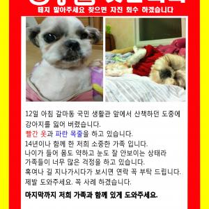 소중한 저의 가족을 찾아주세요