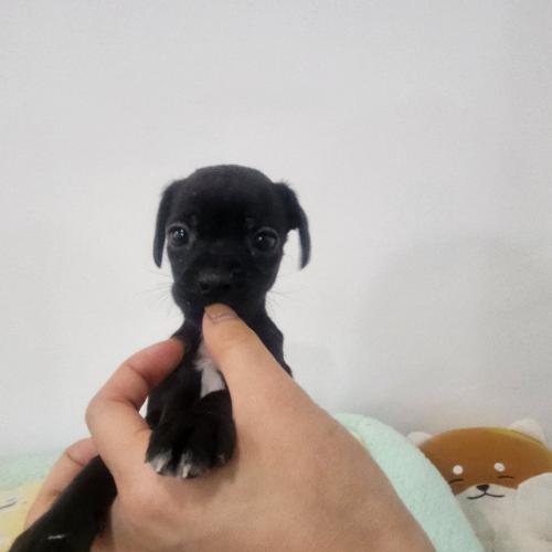 5만워에 책임보내요.