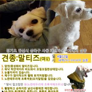 저희쪼꼬좀 찾아주세요 제발부탁드립니다....