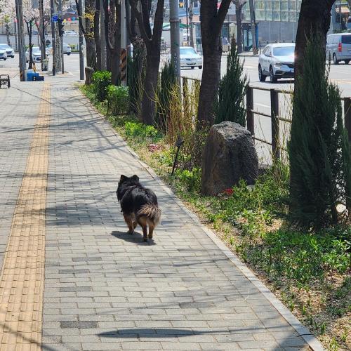 은평구쪽(서오릉고개근처)