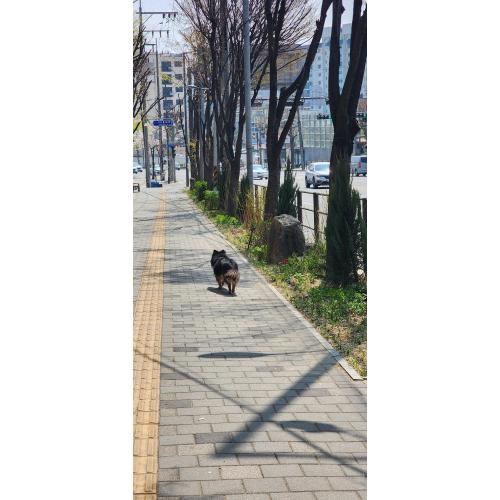 은평구쪽(서오릉고개근처)