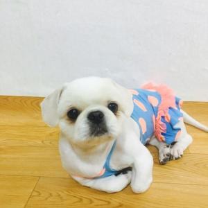 뿌니야   얼렁 돌아와~~ㅜㅜ