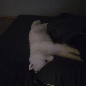 인천 남동구 선학경기장에서 남촌동 들어오는 길목