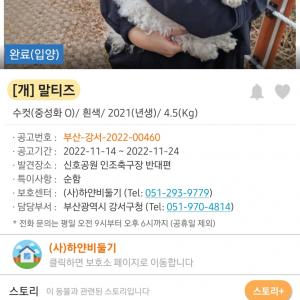 강아지찾았지만...