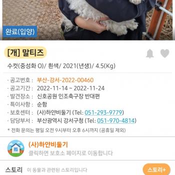 강아지찾았지만...