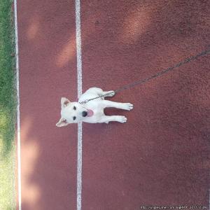 전남목포시용해동 용해3단지근처