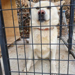 우리 진이  좀 찾아주세요