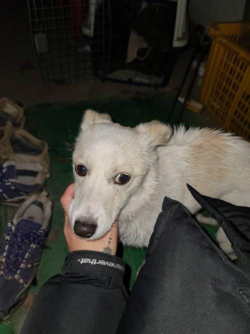 전주시 덕진구 금암동