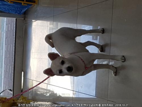 경기도 군포시 당동 지구대 근처