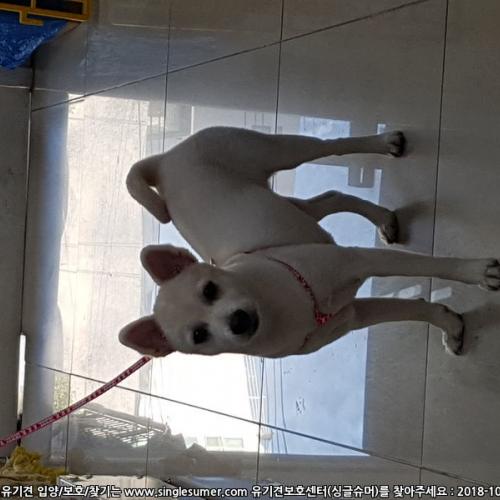 경기도 군포시 당동 지구대 근처