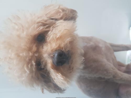 미아사거리역에서 발견하였습니다