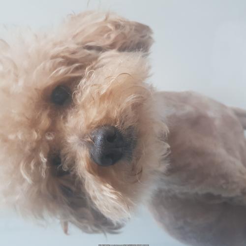 미아사거리역에서 발견하였습니다