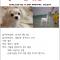 강아지 찾습니다...