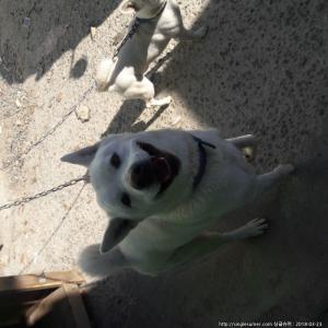 경주시 충효동에서